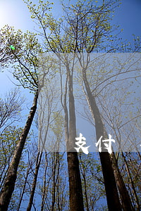 支付寶花唄逾期不還款后果