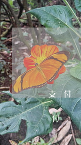 支付寶花唄逾期之后時不時扣款(花唄逾期支付寶進賬會馬上被扣掉嗎?)
