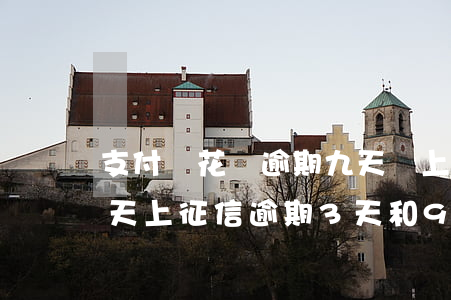 支付寶花唄逾期九天會上征信嗎(花唄逾期幾天上征信?逾期3天和9天區(qū)別居然這么大!)