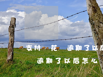 支付寶花唄逾期了以后怎么開通-支付寶花唄逾期了以后怎么開通借唄