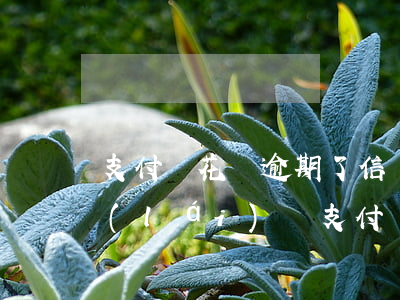支付寶花唄逾期了信譽(yù)分還能回來(lái)嗎（支付寶花唄逾期了xion）