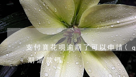 支付寶花唄逾期了可以申請(qǐng)分期還款嗎