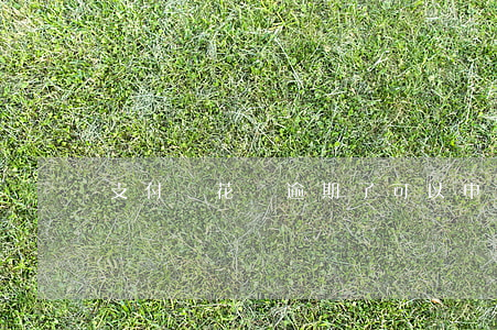 支付寶花唄逾期了可以申請分期還款嗎