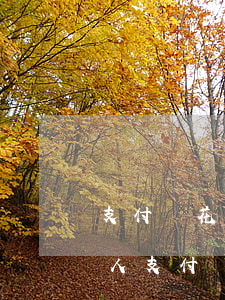 支付寶花唄逾期了多久會(huì)通知家人 支付寶花唄逾期了會(huì)打電話給家人嗎?