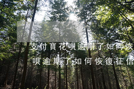 支付寶花唄逾期了如何恢復征信-支付寶花唄逾期了如何恢復征信記錄