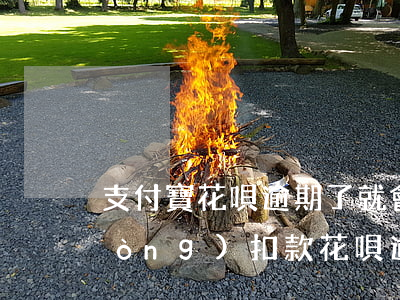 支付寶花唄逾期了就會(huì)自動(dòng)扣款(花唄逾期會(huì)自動(dòng)扣除支付寶的錢嗎)