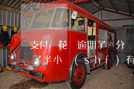 支付寶花唄逾期了幾分鐘-支付寶花唄逾期了半小時(shí)有事沒(méi)