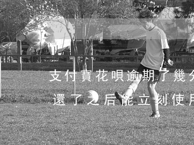 支付寶花唄逾期了幾分鐘(花唄逾期十幾分鐘還了之后,能立刻使用嗎)