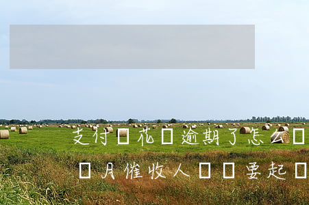 支付寶花唄逾期了怎么幫(支付寶花唄逾期三個月催收人員說要起訴我)