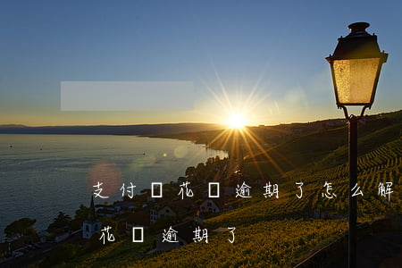 支付寶花唄逾期了怎么解決（把老媽的支付寶花唄逾期了）