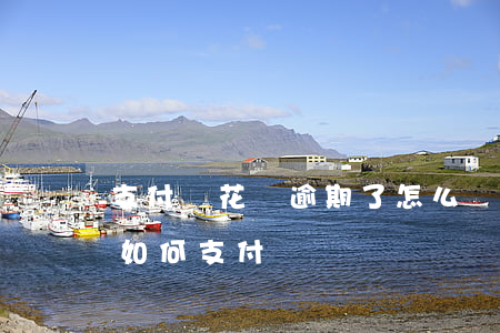 支付寶花唄逾期了怎么辦(花唄逾期了淘寶還如何支付)