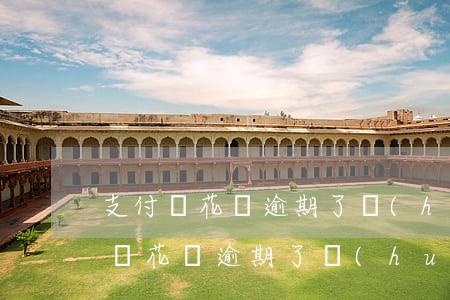 支付寶花唄逾期了會(huì)上征信(支付寶花唄逾期了會(huì)不會(huì)上征信)