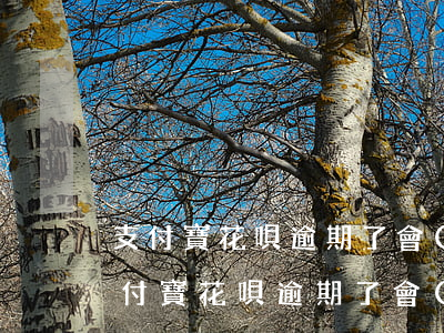 支付寶花唄逾期了會(huì)上門嗎-支付寶花唄逾期了會(huì)上門嗎