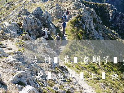 支付寶花唄逾期了會(huì)上門(支付寶花唄逾期說上門核實(shí))