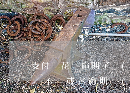 支付寶花唄逾期了會(huì)怎么樣-花唄不還或者逾期會(huì)怎么樣