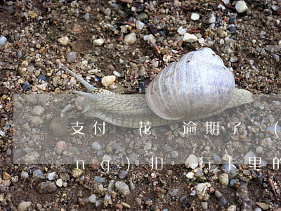 支付寶花唄逾期了會(huì)自動(dòng)扣銀行卡里的錢(qián)嗎-支付寶花唄逾期了會(huì)自動(dòng)扣銀行卡里的錢(qián)嗎