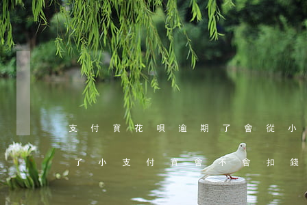 支付寶花唄逾期了會從小號扣錢嗎（花唄逾期了小支付寶會不會扣錢）