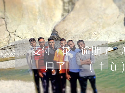 支付寶花唄逾期了會怎樣(支付寶花唄逾期幾個月了會負(fù)法律責(zé)任嗎?)