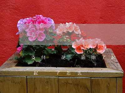 支付寶花唄逾期了起訴-支付寶花唄逾期了起訴了怎么說