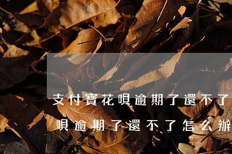 支付寶花唄逾期了還不了怎么辦-支付寶花唄逾期了還不了怎么辦呢