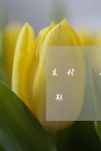 支付寶花唄逾期了還可以分期付款嗎（花唄逾期過還能分期付款買手機嗎）