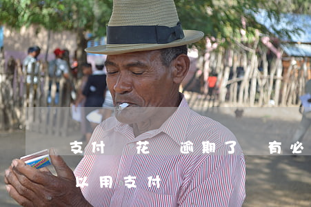 支付寶花唄逾期了還有必要嗎(花唄逾期還可以用支付寶嗎)