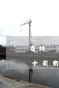 支付寶花唄逾期二十天(支付寶花唄分期逾期十天有事嗎)