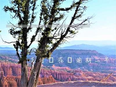 支付寶花唄逾期二年-支付寶花唄逾期二年了
