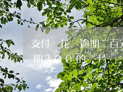 支付寶花唄逾期二百元圖片-支付寶花唄逾期200的圖片