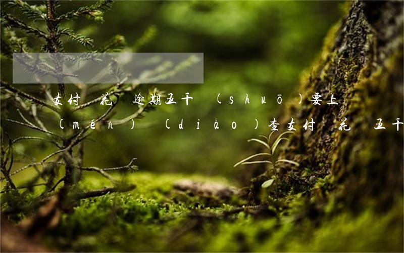 支付寶花唄逾期五千說(shuō)要上門(mén)調(diào)查（支付寶花唄五千逾期一年會(huì)上門(mén)嗎）
