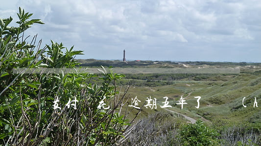 支付寶花唄逾期五年了還會(huì)刪除嗎