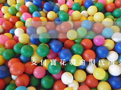 支付寶花唄逾期代辦(支付寶 花唄 逾期)