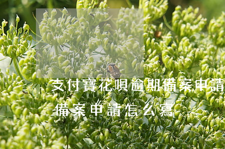 支付寶花唄逾期備案申請-支付寶花唄逾期備案申請怎么寫