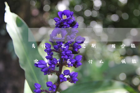 支付寶花唄逾期備用金能用嗎 支付寶備用金逾期了花唄什么時候能用