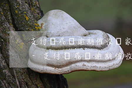 支付寶花唄逾期催收給家里打電話在哪投訴-支付寶花唄逾期催收給家里打電話在哪投訴