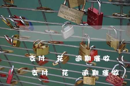 支付寶花唄逾期催收說(shuō)上門-支付寶花唄逾期催收說(shuō)上門核實(shí)