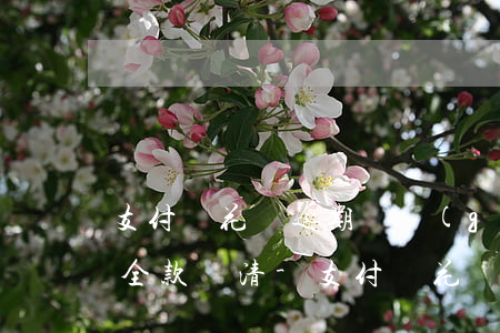 支付寶花唄逾期兩個(gè)月第三方通知全款還清-支付寶花唄逾期兩個(gè)月第三方通知全款還清了
