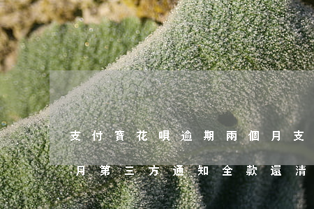 支付寶花唄逾期兩個月(支付寶花唄逾期兩個月第三方通知全款還清)