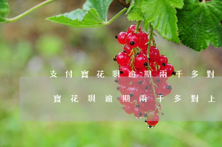 支付寶花唄逾期兩千多對上門要債嗎?-支付寶花唄逾期兩千多對上門要債嗎有影響嗎