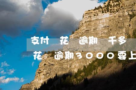支付寶花唄逾期兩千多說上門處理-支付寶花唄逾期3000要上門好說要收上門費(fèi)
