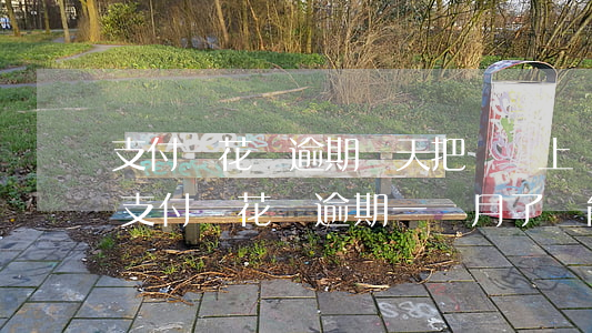 支付寶花唄逾期兩天把錢還上 會影響額度嗎（支付寶花唄逾期一個月了還能漲嗎）