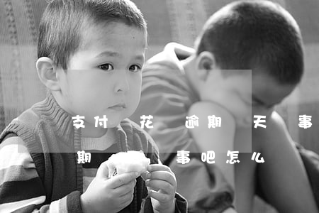 支付寶花唄逾期兩天沒事吧-支付寶花唄逾期兩天沒事吧怎么辦