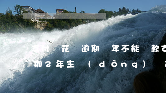 支付寶花唄逾期兩年不能還款(支付寶花唄逾期2年主動(dòng)還款)