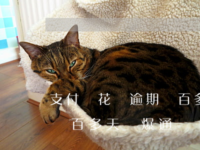 支付寶花唄逾期兩百多天-支付寶花唄逾期兩百多天會爆通訊錄嗎