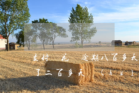 支付寶花唄逾期八百多天(花唄欠七千多逾期了二百多天會(huì)被起訴嗎)
