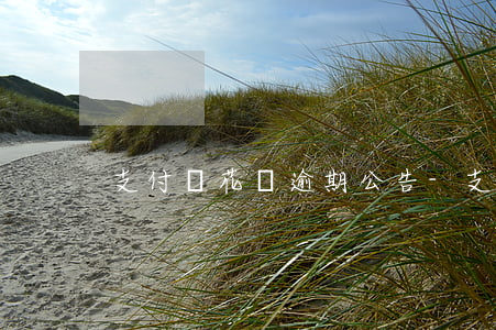 支付寶花唄逾期公告-支付寶花唄逾期兩天