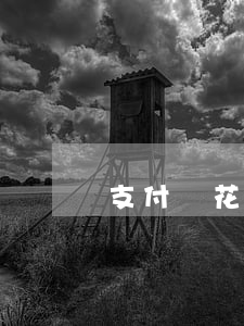 支付寶花唄逾期再分期劃算嗎