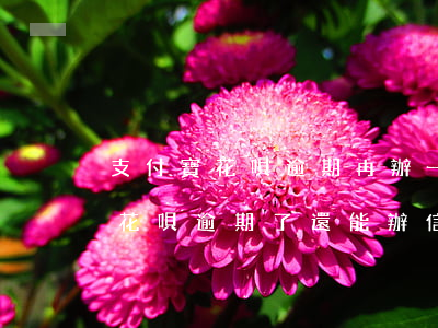 支付寶花唄逾期再辦一個有影響嗎-支付寶花唄逾期了還能辦信用卡嗎
