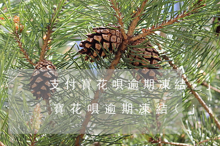 支付寶花唄逾期凍結(jié)解凍-支付寶花唄逾期凍結(jié)解凍要多久