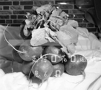 支付寶花唄逾期利息6-支付寶花唄逾期利息6萬